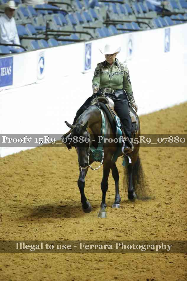 Proof 15R9_07880