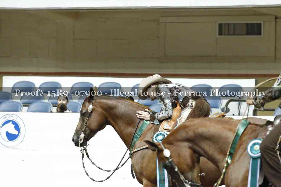 Proof 15R9_07900