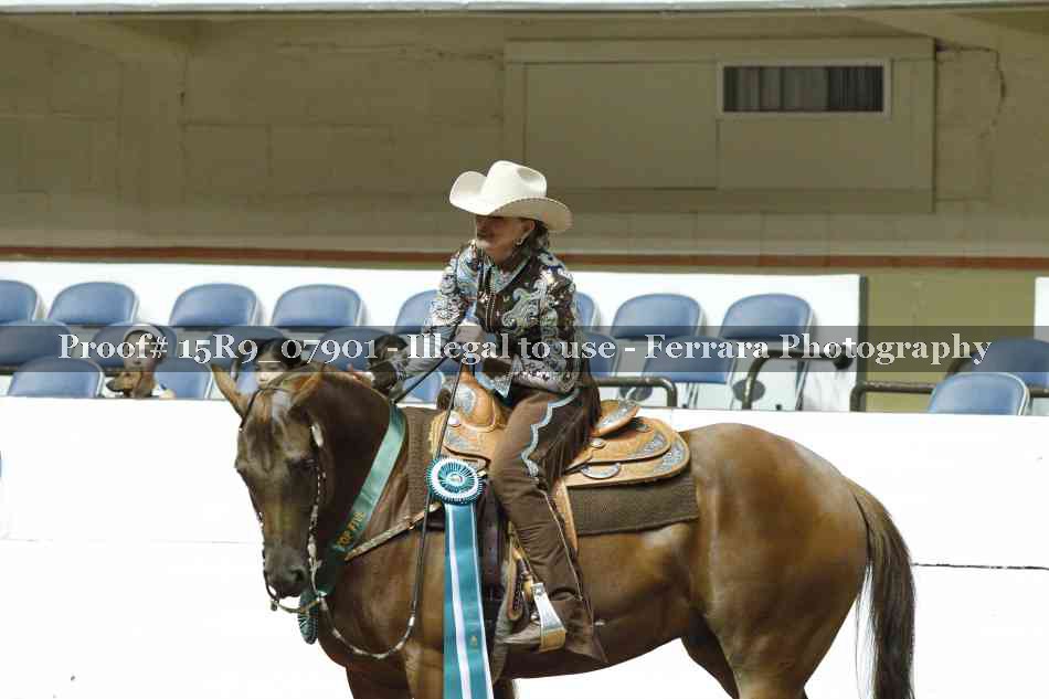 Proof 15R9_07901