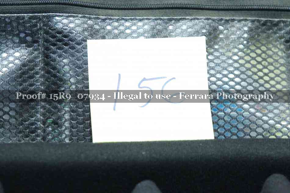 Proof 15R9_07934