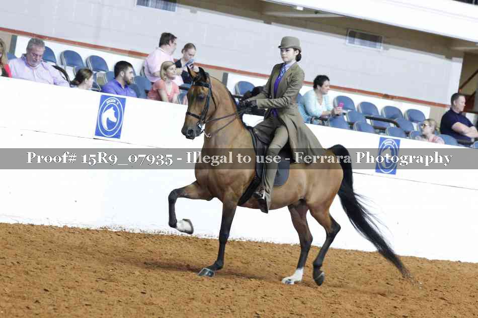 Proof 15R9_07935