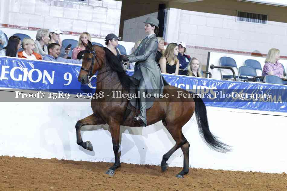 Proof 15R9_07938