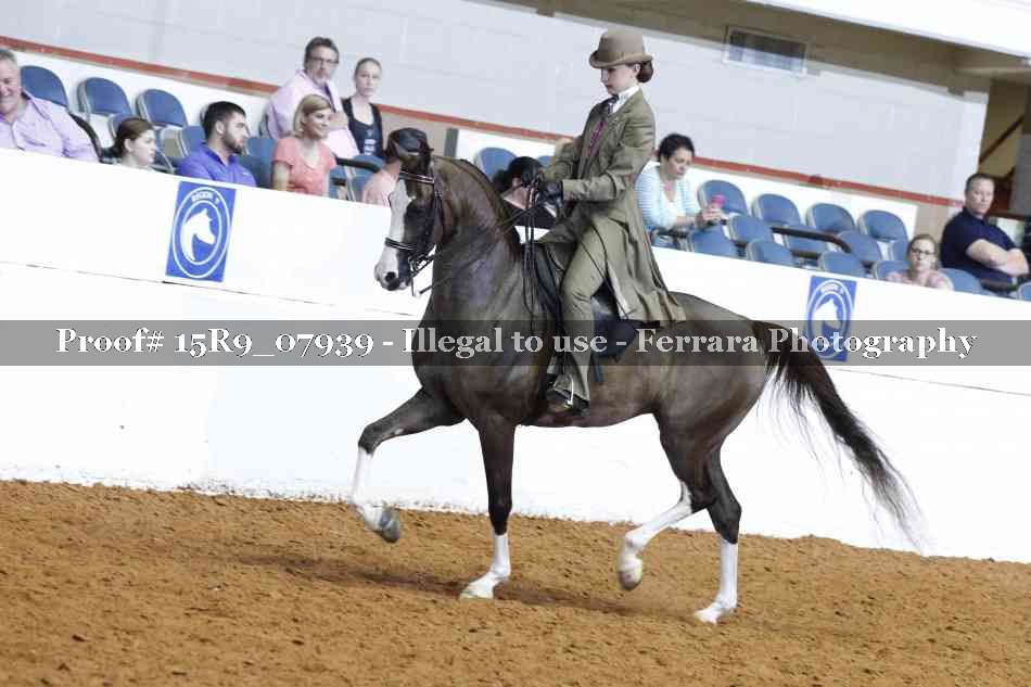 Proof 15R9_07939