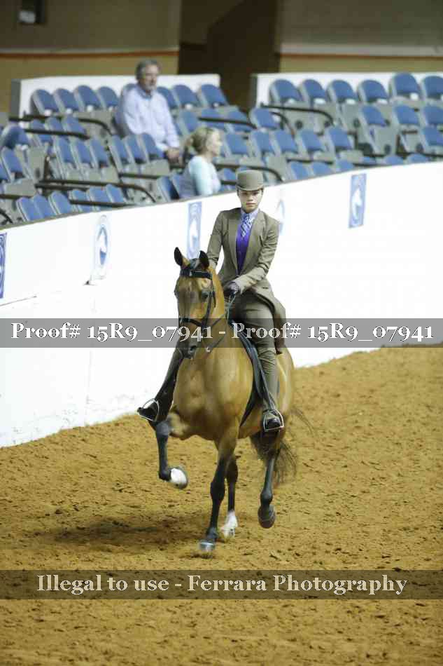 Proof 15R9_07941