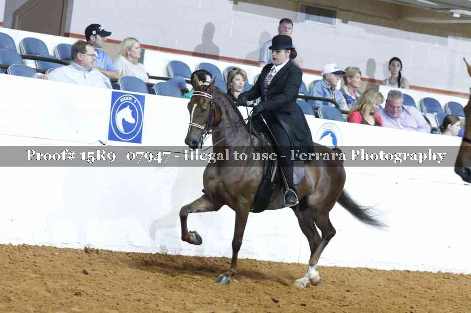 Proof 15R9_07947
