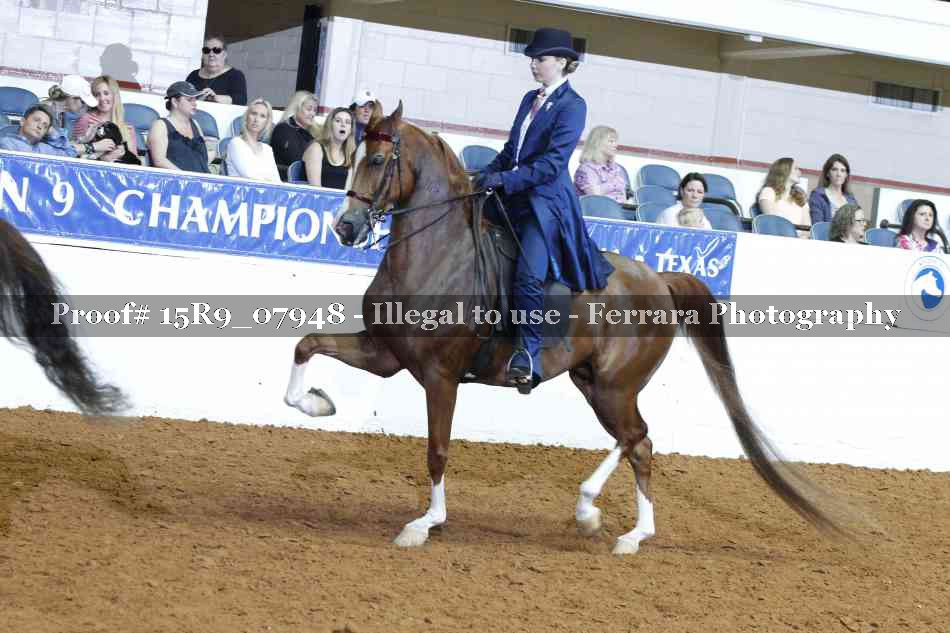 Proof 15R9_07948