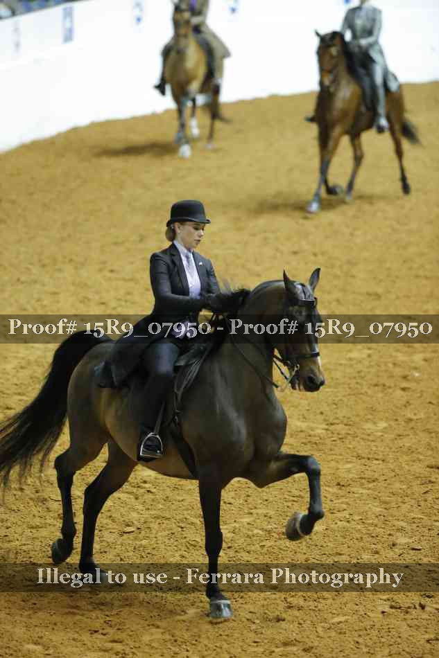 Proof 15R9_07950