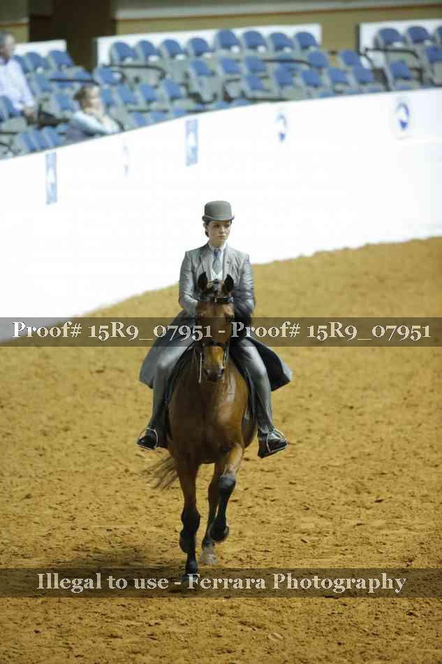 Proof 15R9_07951