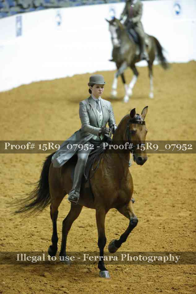 Proof 15R9_07952
