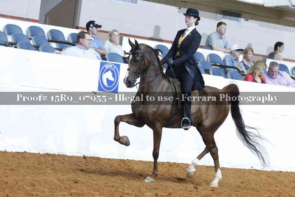Proof 15R9_07955
