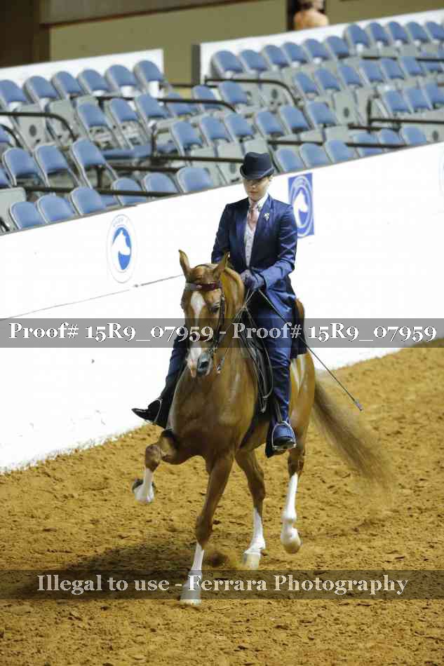 Proof 15R9_07959