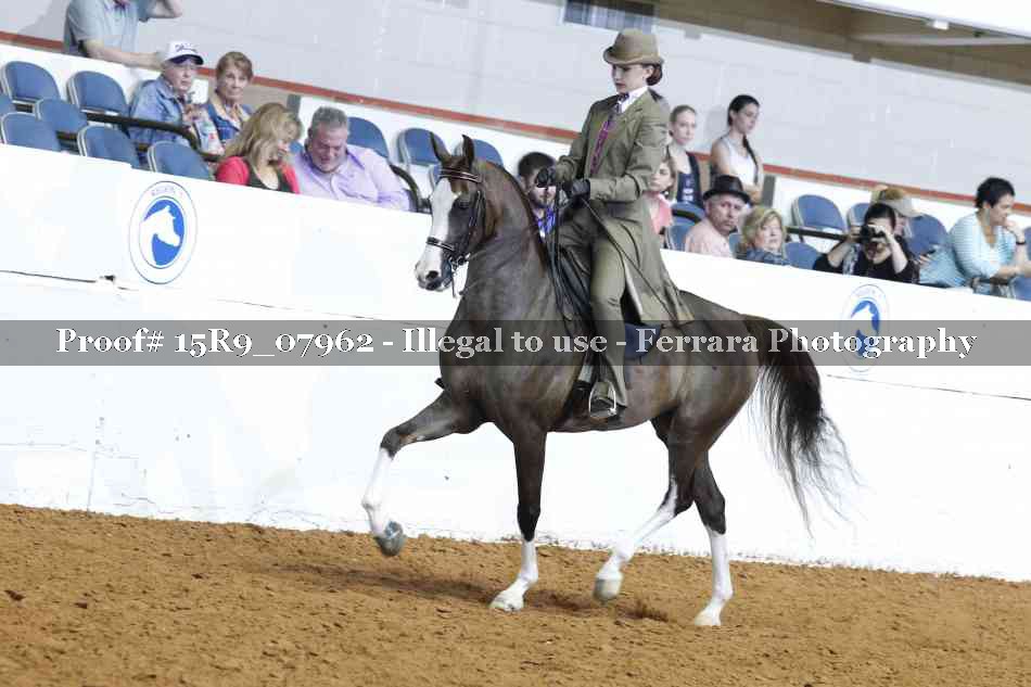 Proof 15R9_07962