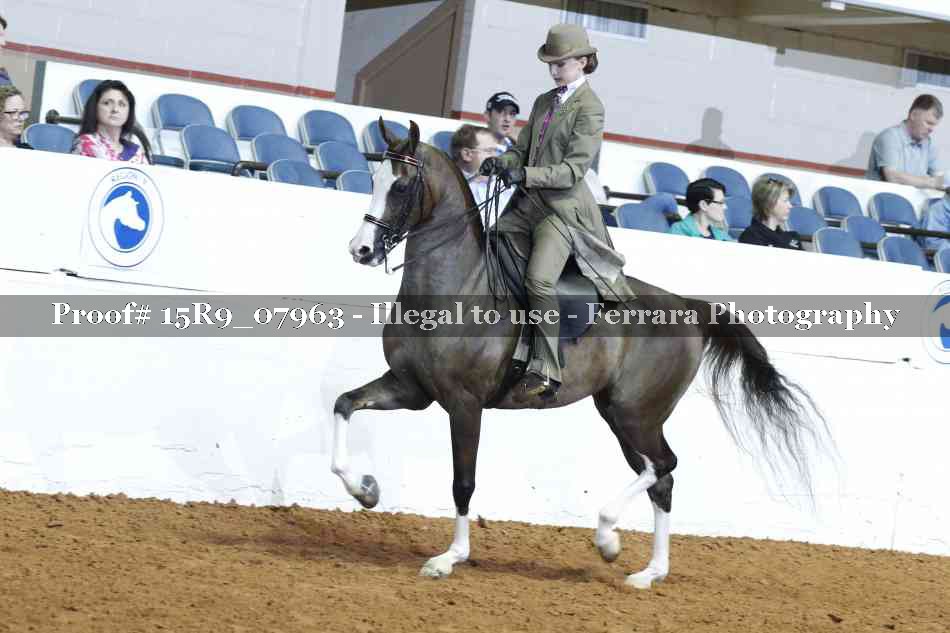 Proof 15R9_07963
