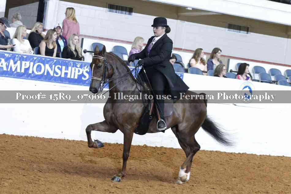 Proof 15R9_07966