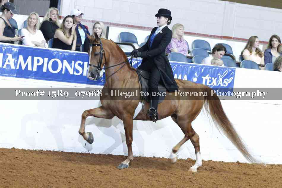 Proof 15R9_07968