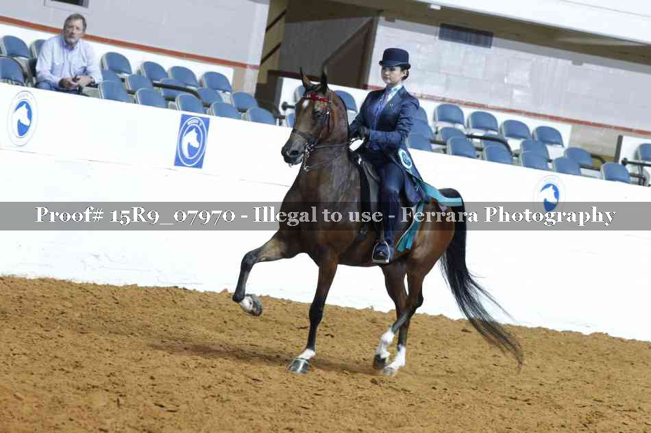 Proof 15R9_07970