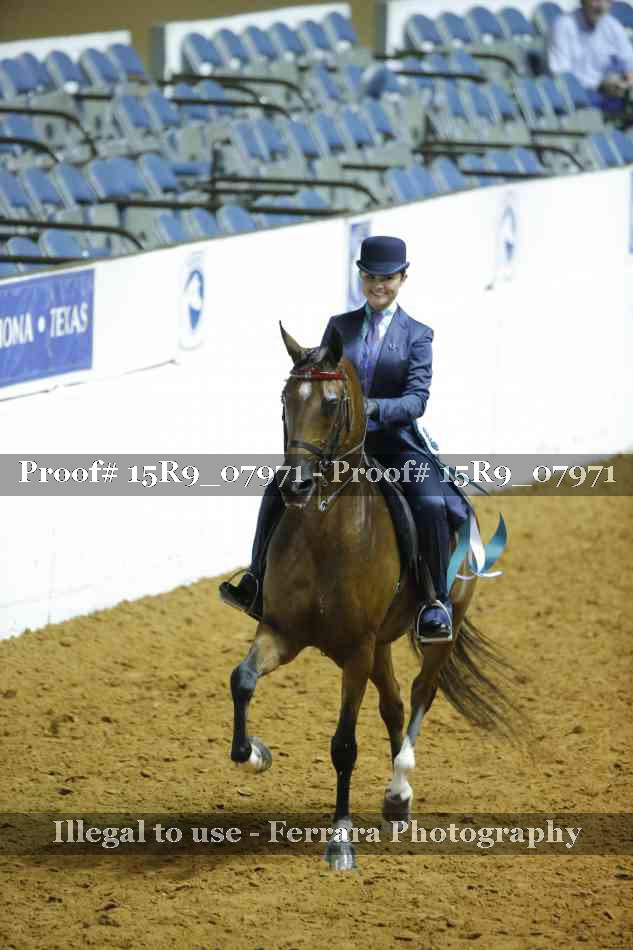 Proof 15R9_07971