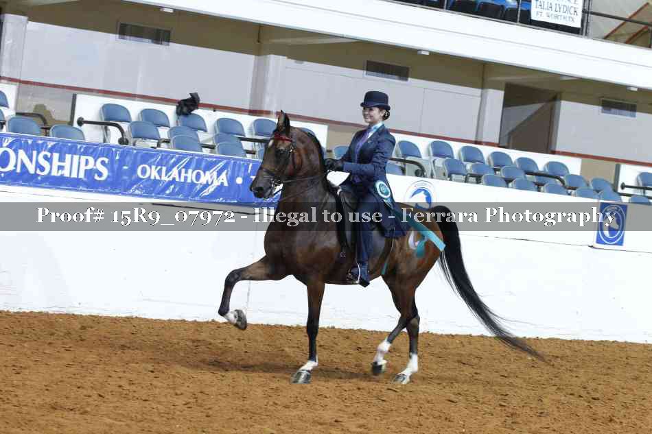 Proof 15R9_07972