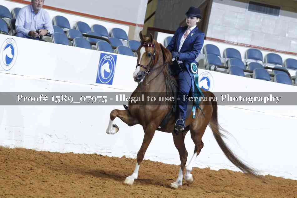 Proof 15R9_07975