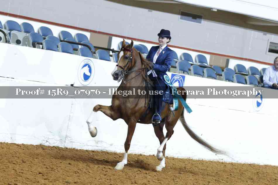 Proof 15R9_07976