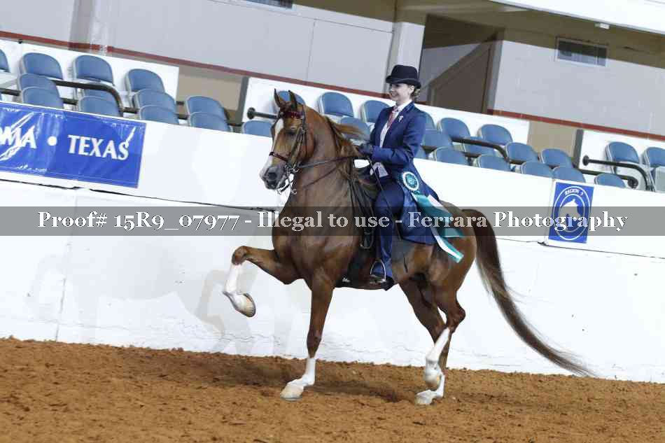 Proof 15R9_07977