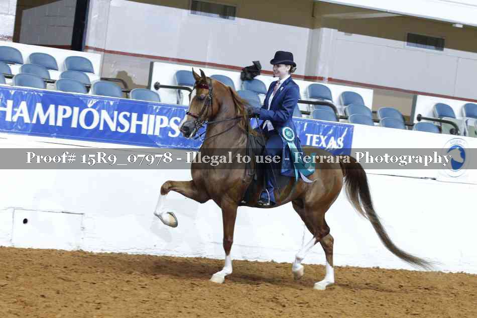 Proof 15R9_07978
