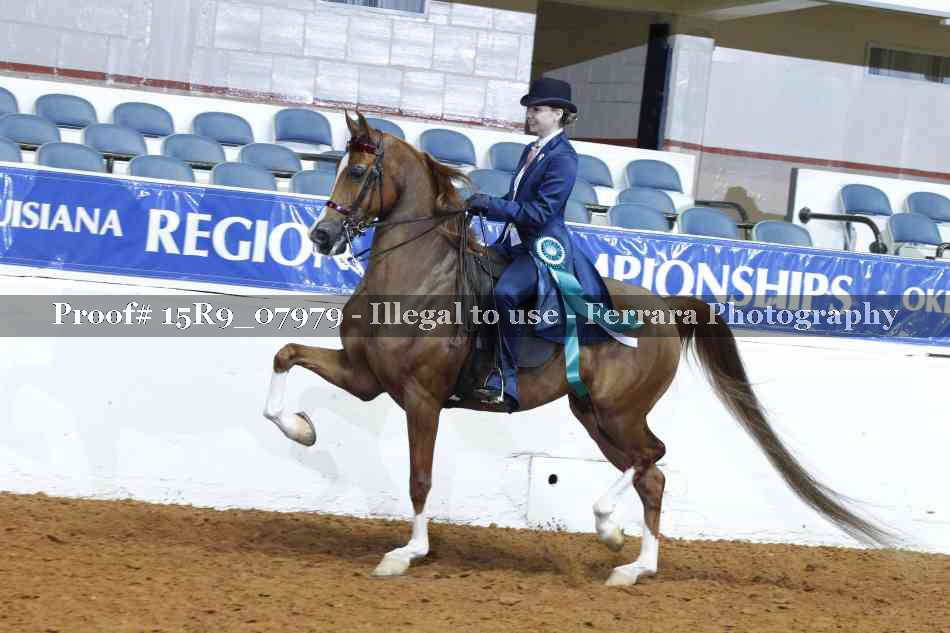 Proof 15R9_07979