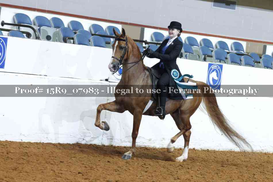 Proof 15R9_07983