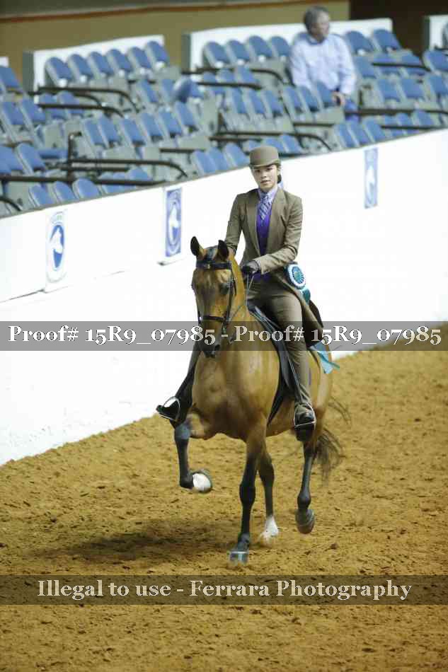 Proof 15R9_07985
