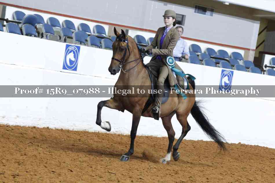 Proof 15R9_07988