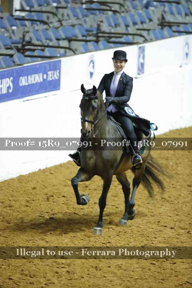 Proof 15R9_07991
