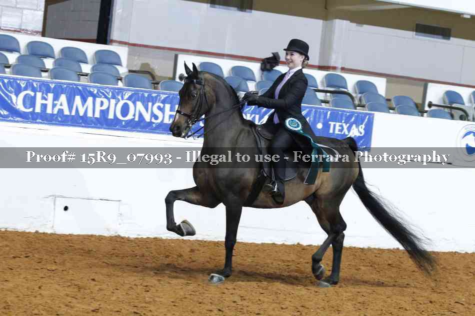 Proof 15R9_07993