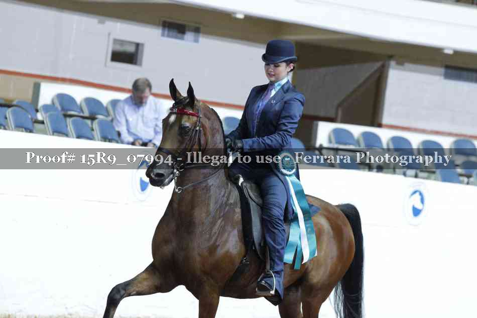 Proof 15R9_07994