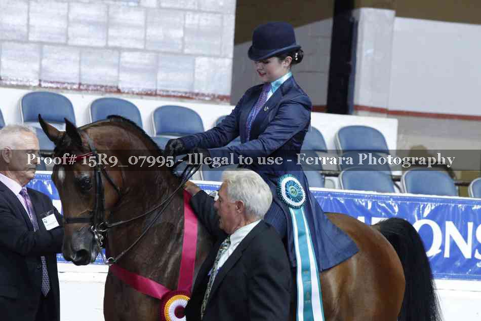 Proof 15R9_07995
