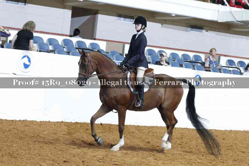 Proof 15R9_08029