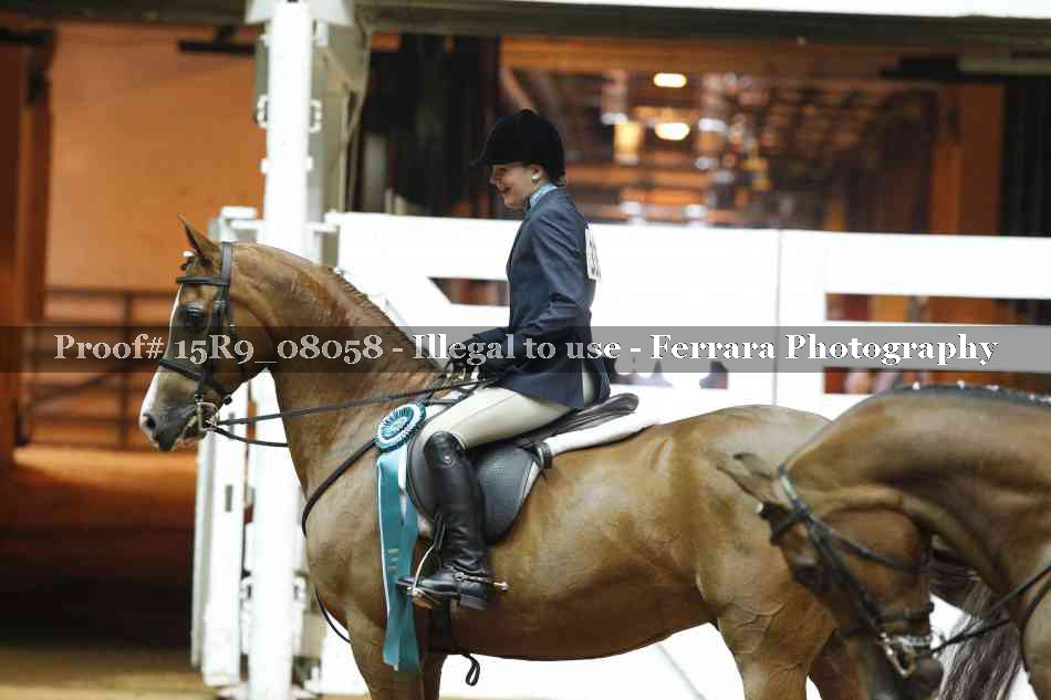 Proof 15R9_08058