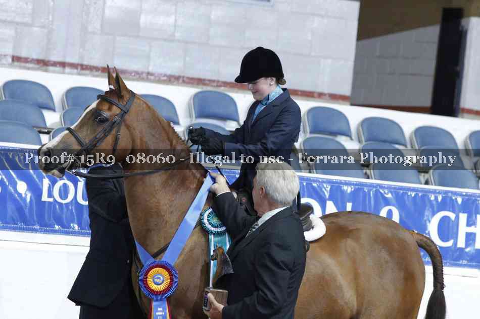 Proof 15R9_08060