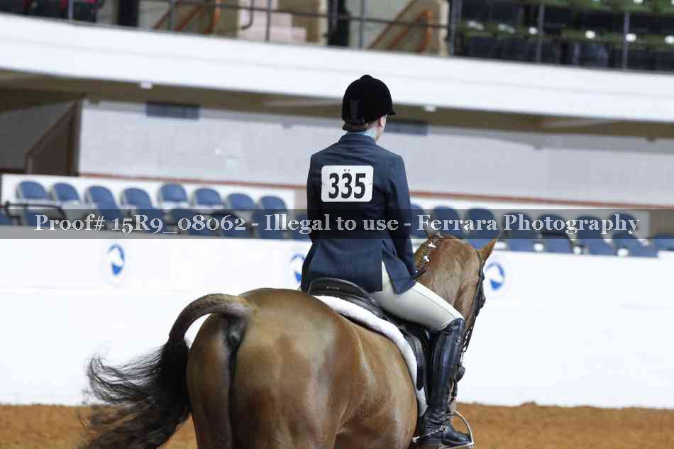 Proof 15R9_08062