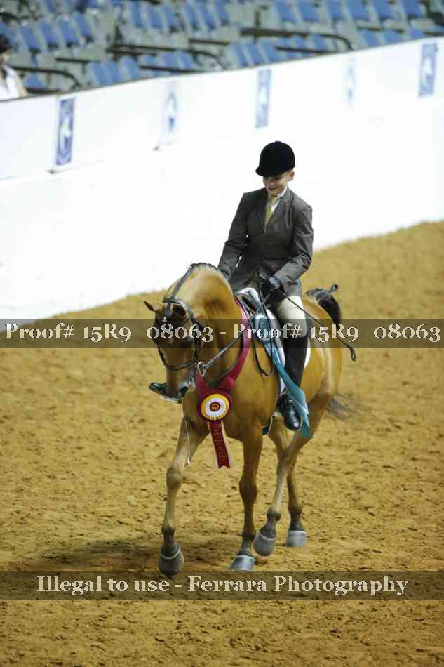 Proof 15R9_08063