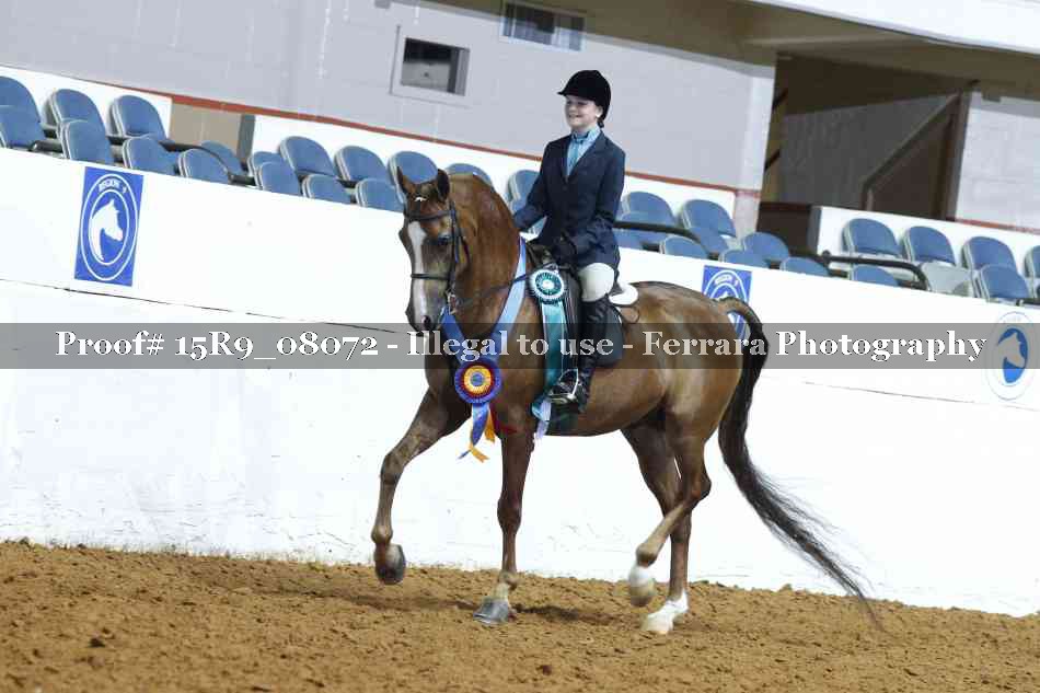 Proof 15R9_08072