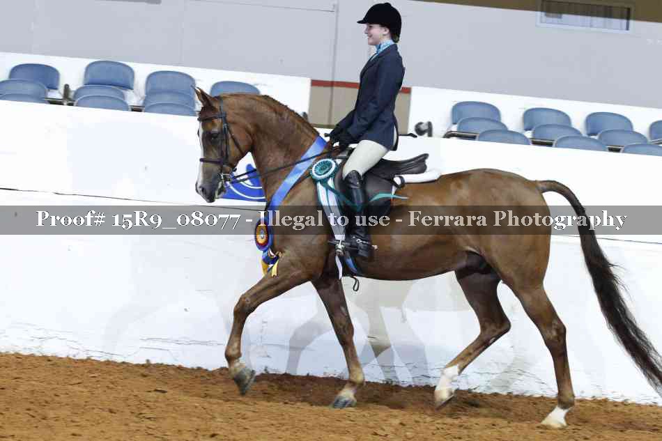 Proof 15R9_08077