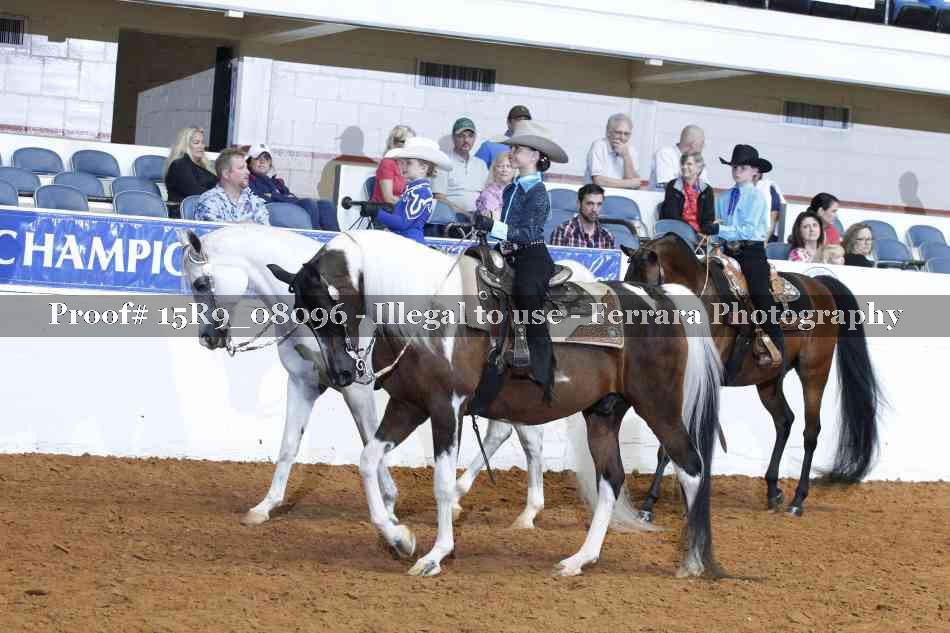 Proof 15R9_08096