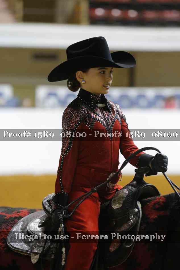 Proof 15R9_08100