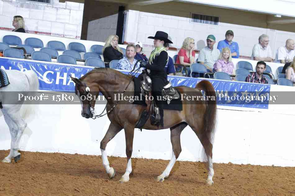Proof 15R9_08111