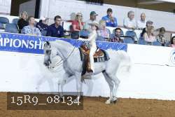 15R9_08134 proof