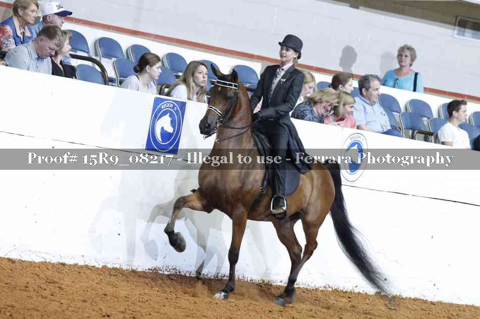 Proof 15R9_08217