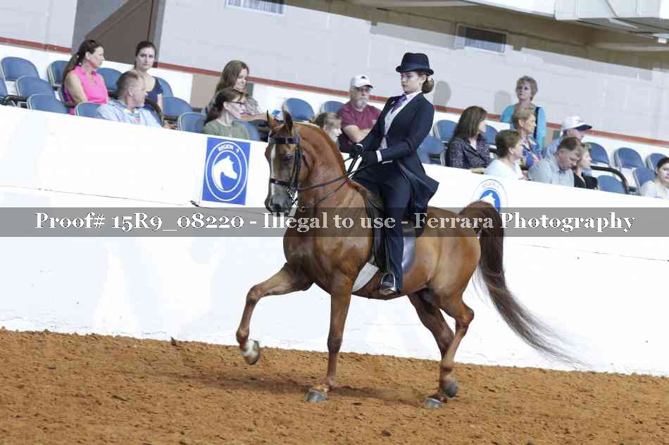 Proof 15R9_08220