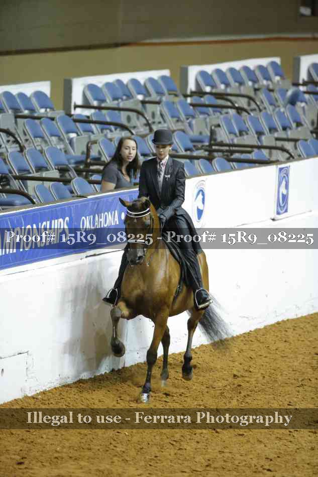 Proof 15R9_08225