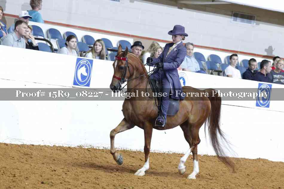 Proof 15R9_08227