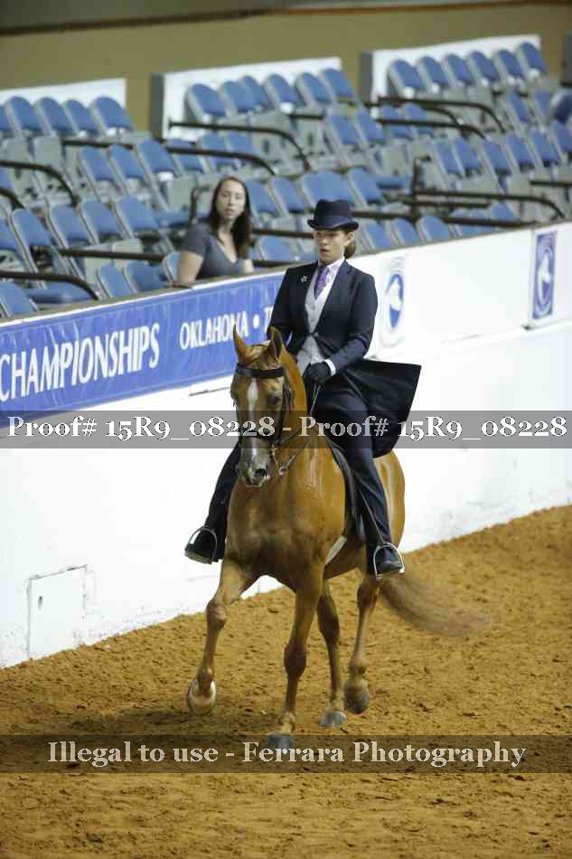 Proof 15R9_08228